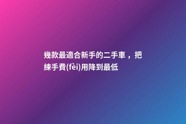 幾款最適合新手的二手車，把練手費(fèi)用降到最低